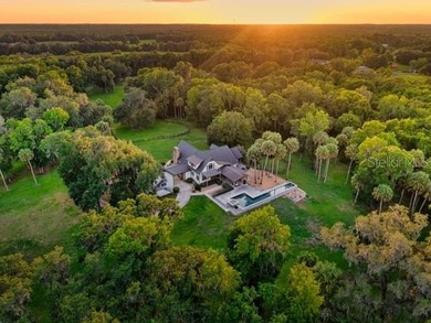 Welcome to one of Ocala's most extraordinary private sporting & - photo 13