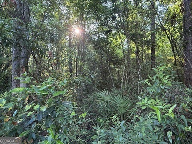 This beautiful lot is located inside the Gated Community of - photo 2