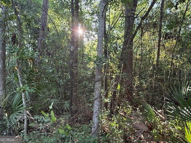 This beautiful lot is located inside the Gated Community of - photo 3