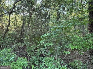 This beautiful lot is located inside the Gated Community of - photo 4