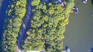 Leesville Lake Lot For Sale in Gretna Virginia