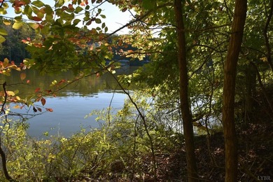 Welcome to Heron Landing. This lot is ready for its next owner - photo 7