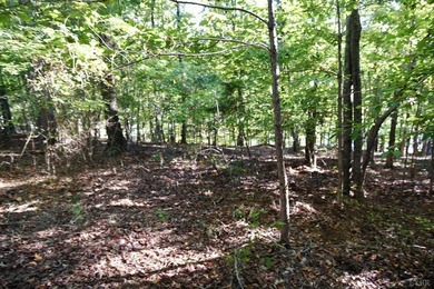Welcome to Heron Landing. This lot is ready for its next owner - photo 10