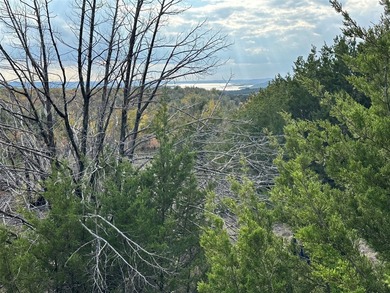 Fantastic lake view!!! One of the highest points in The Hills - photo 4