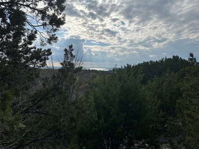 Fantastic lake view!!! One of the highest points in The Hills - photo 6