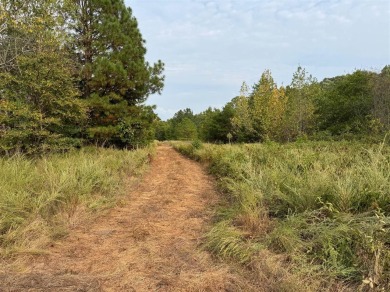 Lake Acreage For Sale in Graham, Kentucky