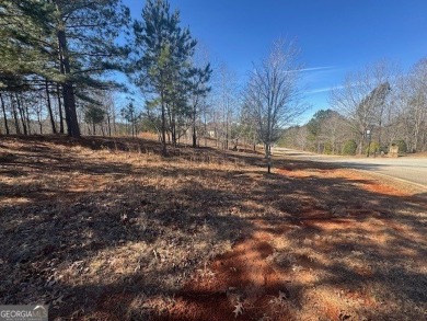 Lake Lot For Sale in Toccoa, Georgia