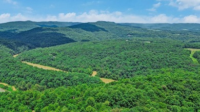 Enjoy breathtaking views overlooking Dale Hollow Lake from this - photo 17