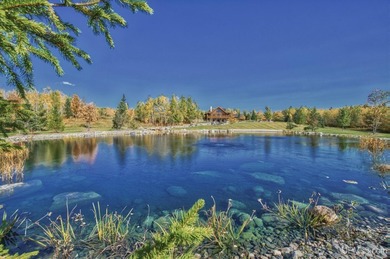 Escape to your own private paradise in this stunning log home - photo 44