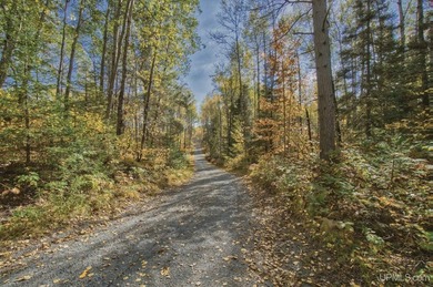 Escape to your own private paradise in this stunning log home - photo 49