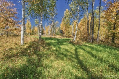 Escape to your own private paradise in this stunning log home - photo 50
