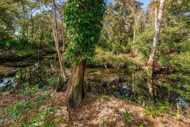 WATERFRONT LOT!! GREAT PRICE! Privacy abounds on this spacious - photo 8