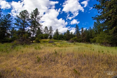 Dworshak Reservoir Acreage For Sale in Ahsahka Idaho