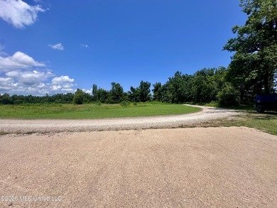 Welcome to Wolf Lake living at its finest! Conveniently located - photo 5
