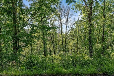 This lot is absolutely gorgeous! There are 2 Lots 37 and 38 are - photo 16