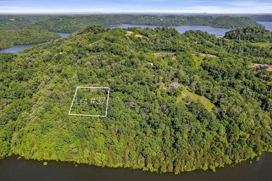 This lot is absolutely gorgeous! There are 2 Lots 37 and 38 are - photo 18