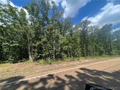 3 Acre tract with 156ft of Hwy 135 frontage. Lot lays very well - photo 3