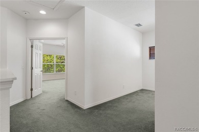 Maintenance-free living in the heart of Florida's Nature Coast - photo 24