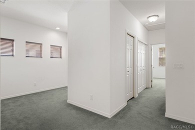 Maintenance-free living in the heart of Florida's Nature Coast - photo 25