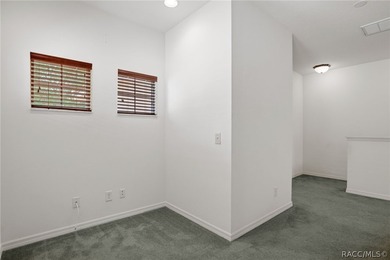 Maintenance-free living in the heart of Florida's Nature Coast - photo 26