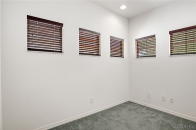 Maintenance-free living in the heart of Florida's Nature Coast - photo 27