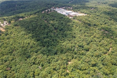 3 Acre tract with 156ft of Hwy 135 frontage. Lot lays very well - photo 8