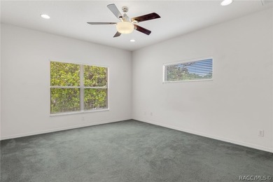Maintenance-free living in the heart of Florida's Nature Coast - photo 28