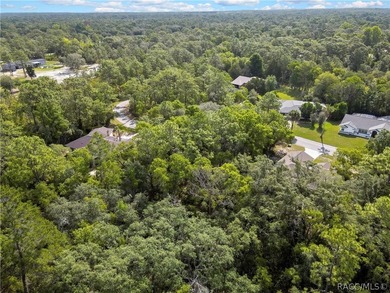 Spacious .35-acre corner lot located on a quiet cul-de-sac in - photo 1