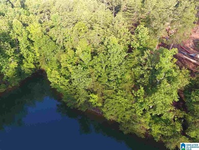Great lot on the south end of Lake Wedowee with over 128' of - photo 2