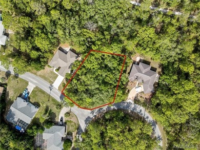 Spacious .35-acre corner lot located on a quiet cul-de-sac in - photo 2