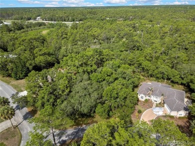 Spacious .35-acre corner lot located on a quiet cul-de-sac in - photo 3