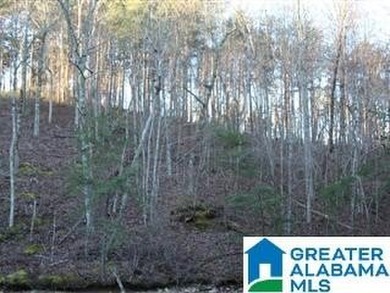Great lot on the south end of Lake Wedowee with over 128' of - photo 4