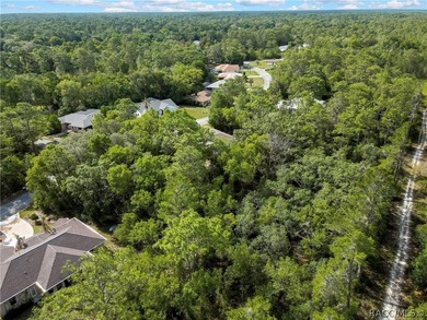 Spacious .35-acre corner lot located on a quiet cul-de-sac in - photo 4