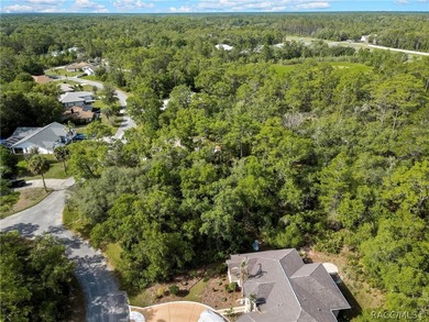 Spacious .35-acre corner lot located on a quiet cul-de-sac in - photo 5