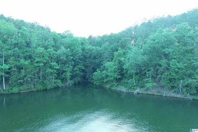 Great lot on the south end of Lake Wedowee with over 128' of - photo 7