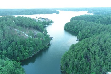 Great lot on the south end of Lake Wedowee with over 128' of - photo 8
