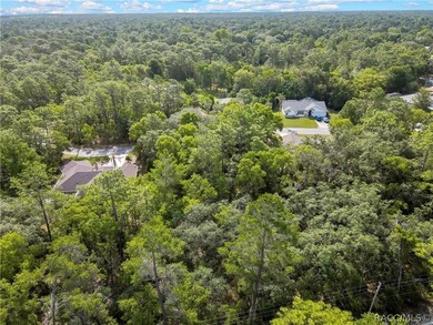 Spacious .35-acre corner lot located on a quiet cul-de-sac in - photo 8