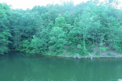 Great lot on the south end of Lake Wedowee with over 128' of - photo 9