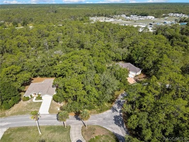 Spacious .35-acre corner lot located on a quiet cul-de-sac in - photo 9