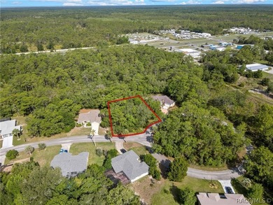 Spacious .35-acre corner lot located on a quiet cul-de-sac in - photo 10