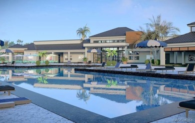 Maintenance-free living in the heart of Florida's Nature Coast - photo 48