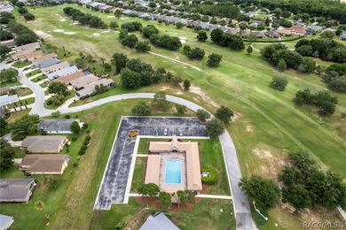 Maintenance-free living in the heart of Florida's Nature Coast - photo 50
