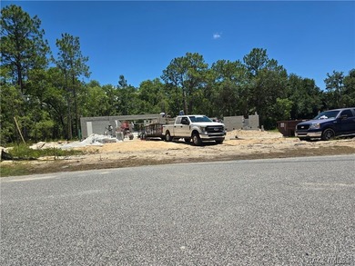 3000 sq. ft. 4 bedroom, 3 bath, & 3 car garage on .48 acre - photo 1