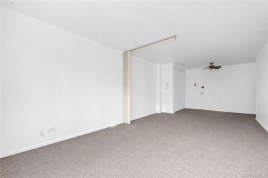 Welcome to this spacious and well-maintained co-op studio in the - photo 12