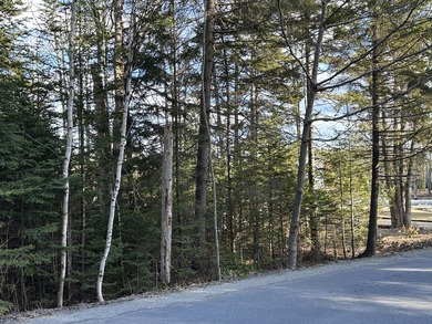Explore the potential for this Town of St. George, Tax-Acquired - photo 14