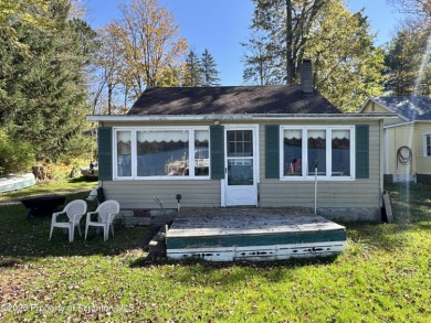 Lake Home For Sale in Equinunk, Pennsylvania