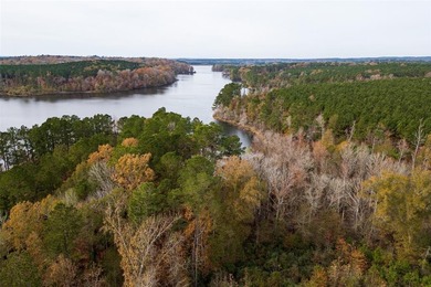 Pinkston Reservoir Acreage For Sale in Center Texas