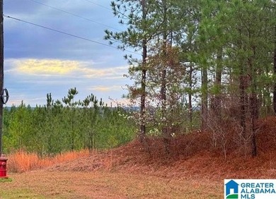 A wonderful opportunity to own TWO adjoining lots totaling 11.82 - photo 1