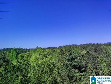 A wonderful opportunity to own TWO adjoining lots totaling 11.82 - photo 2