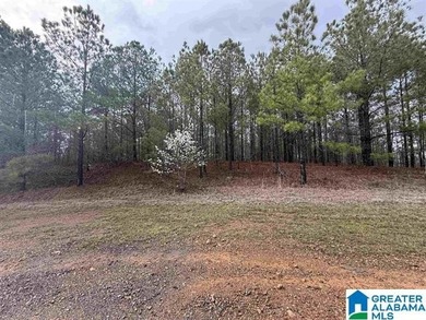A wonderful opportunity to own TWO adjoining lots totaling 11.82 - photo 3